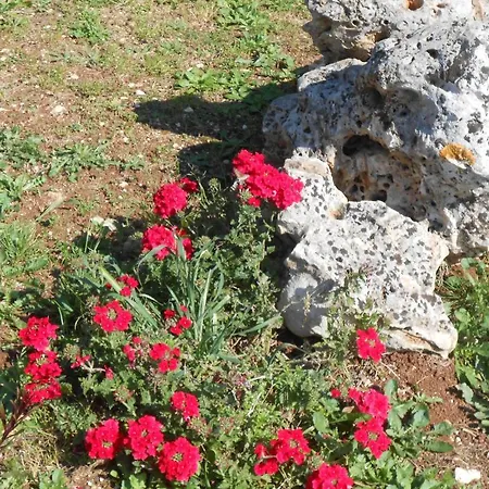 La Piccola Masseria Cisternino