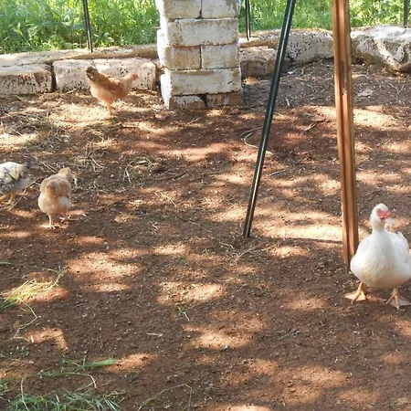 Holiday home La Piccola Masseria